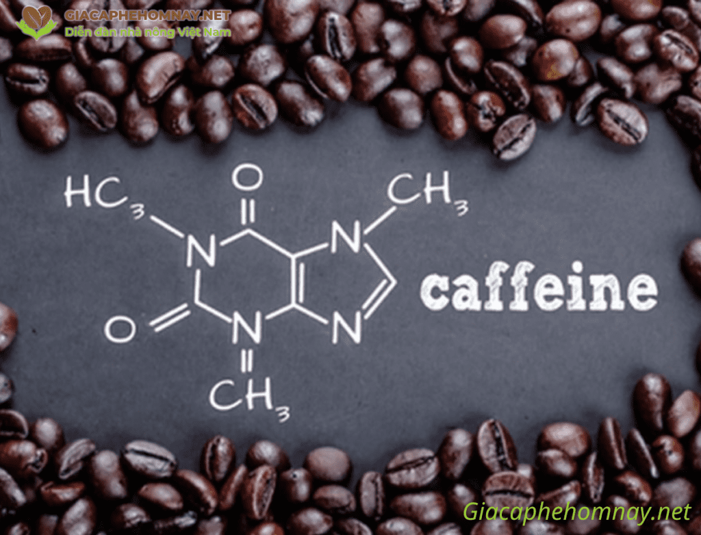 ảnh minh họa Caffeine trong cà phê