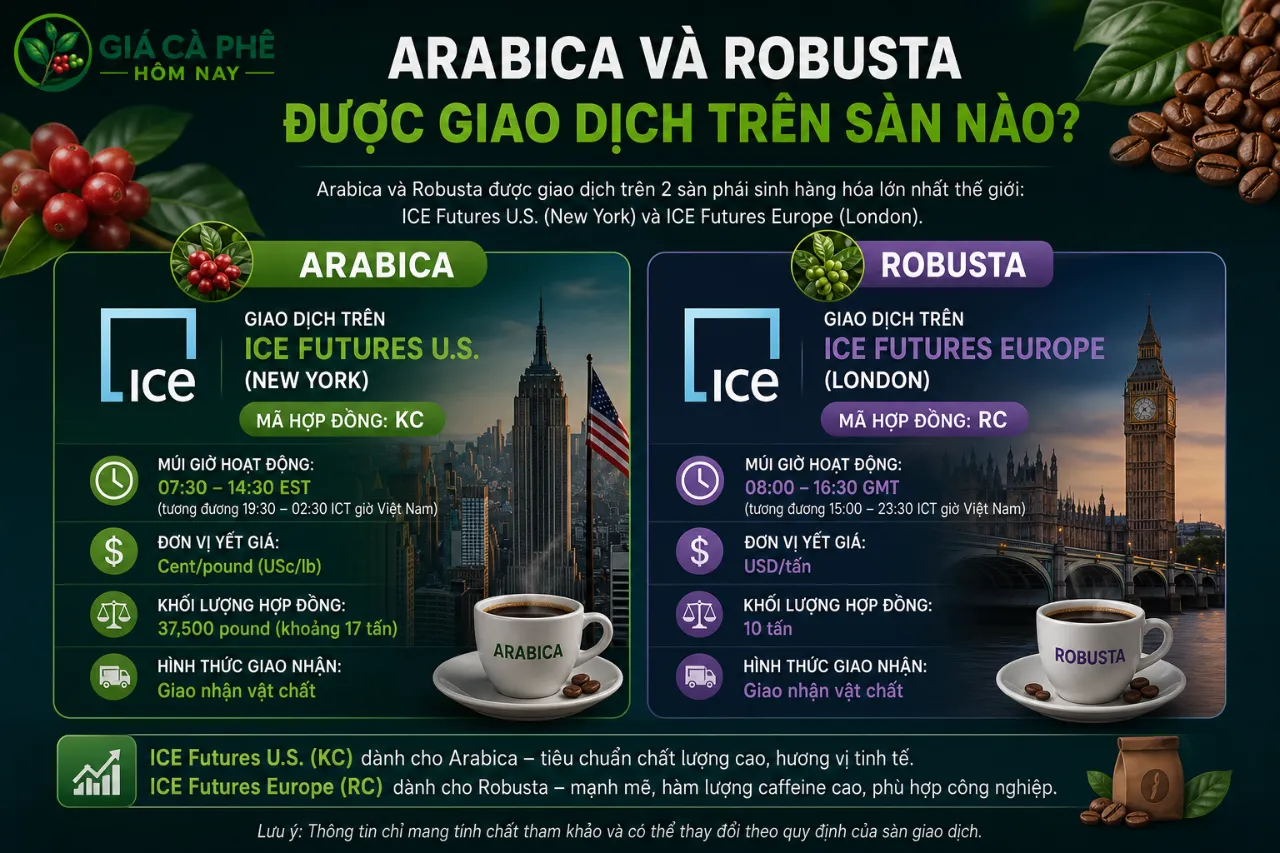 Arabica Và Robusta Được Giao Dịch Trên Sàn Nào?