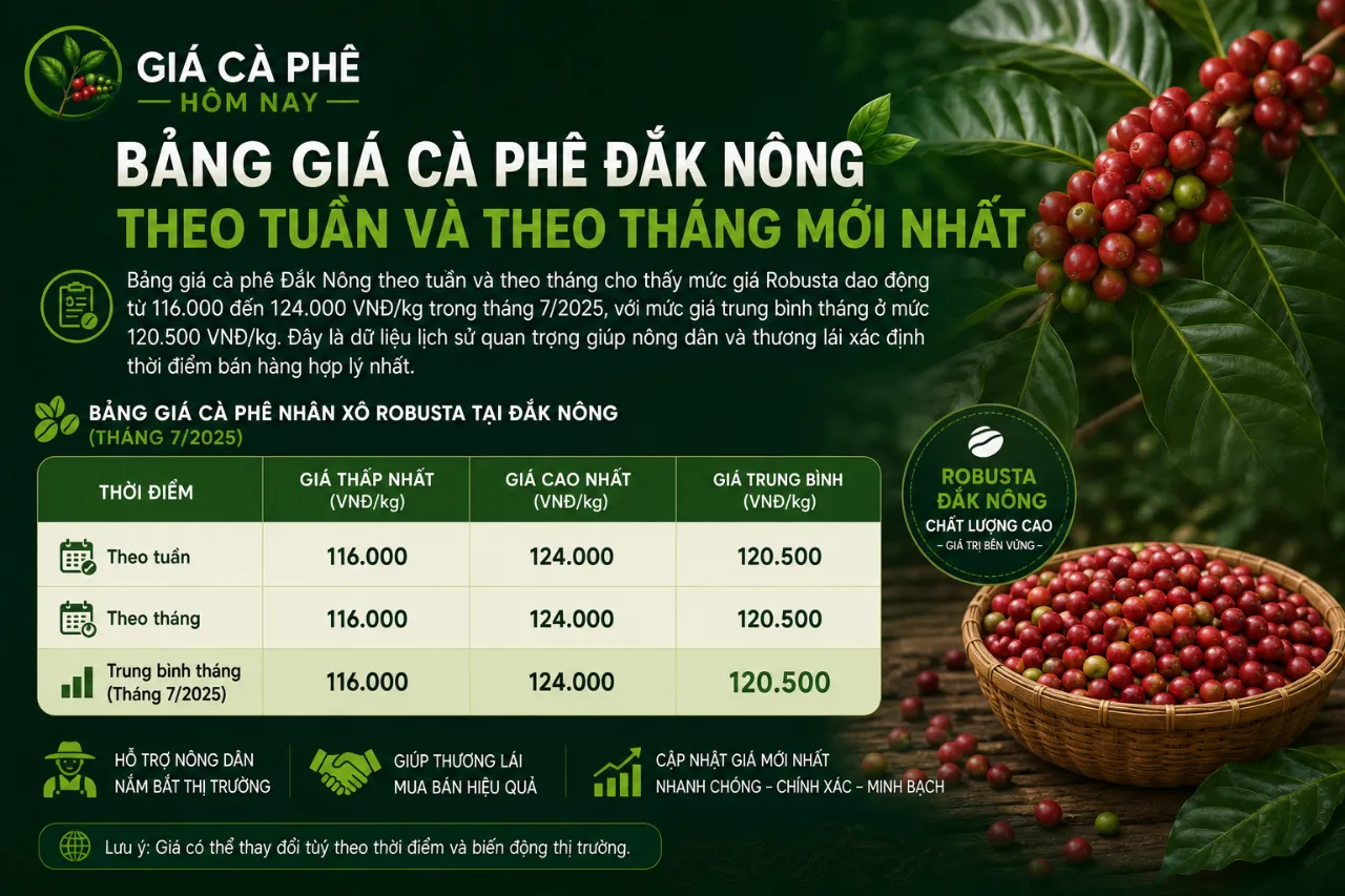 Bảng Giá Cà Phê Đắk Nông Theo Tuần Và Theo Tháng Mới Nhất
