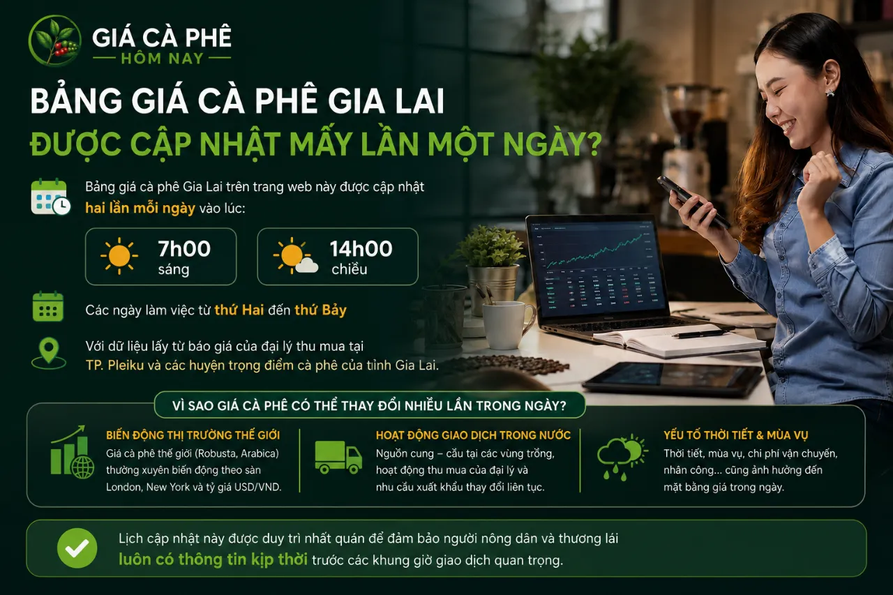 Bảng Giá Cà Phê Gia Lai Được Cập Nhật Mấy Lần Một Ngày?
