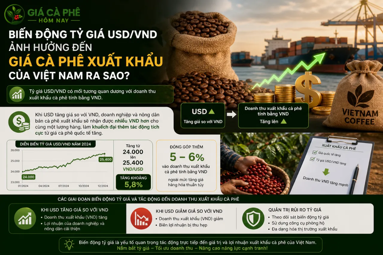 Biến Động Tỷ Giá USD/VND Ảnh Hưởng Đến Giá Cà Phê Xuất Khẩu Của Việt Nam Ra Sao?