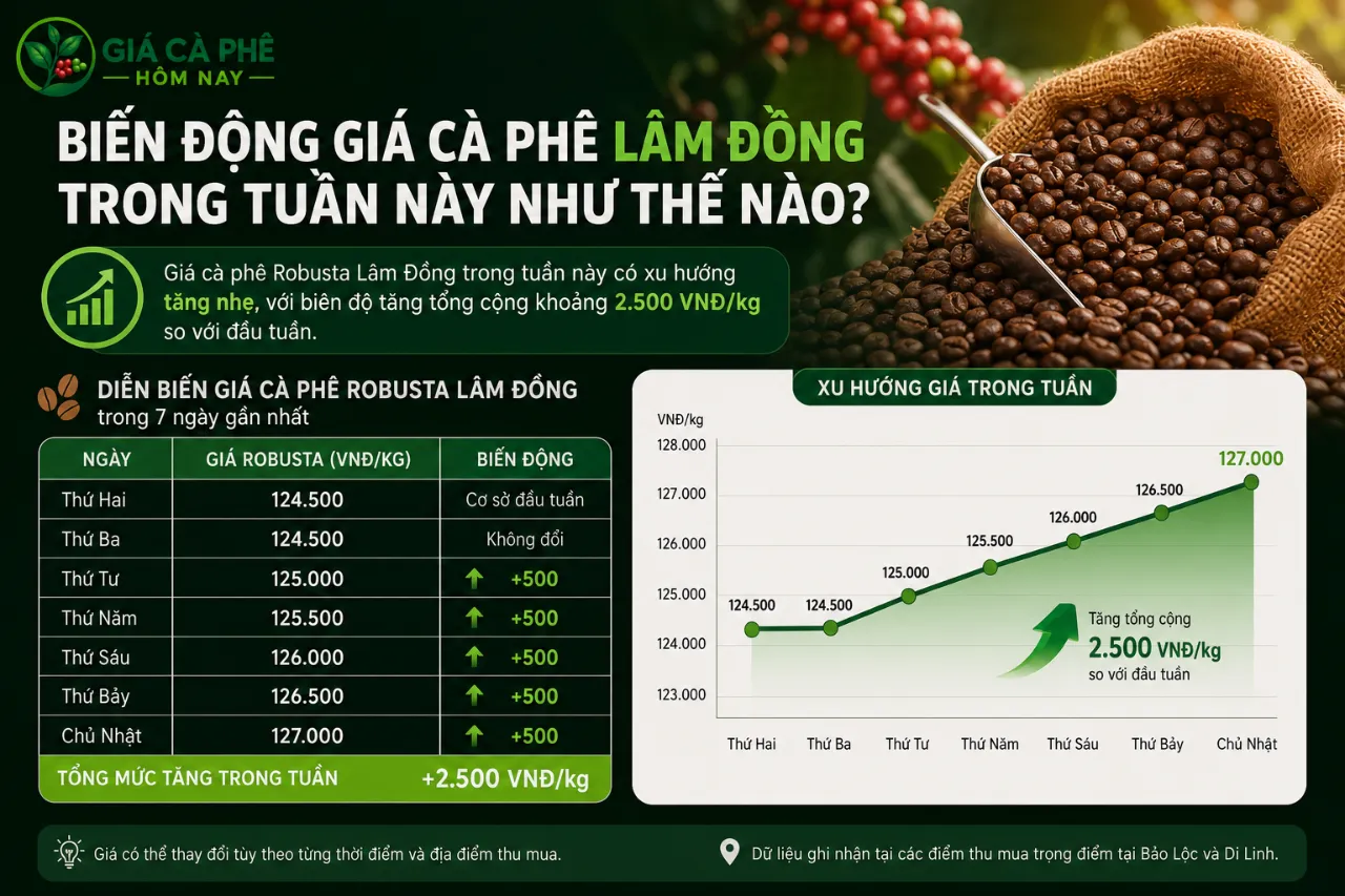 Biến động giá cà phê Lâm Đồng trong tuần này như thế nào?