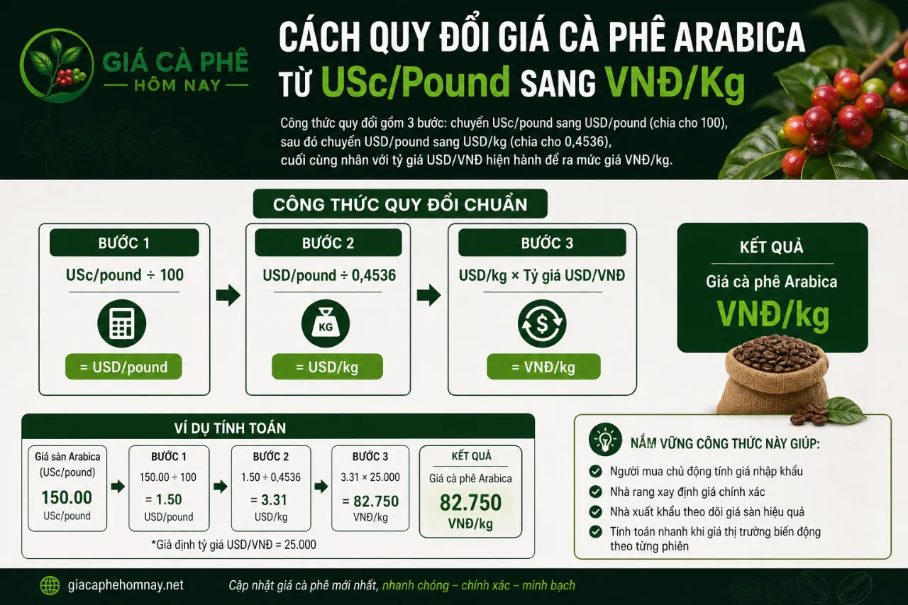 Cách Quy Đổi Giá Cà Phê Arabica Từ USc/Pound Sang VNĐ/Kg Được Tính Như Thế Nào?