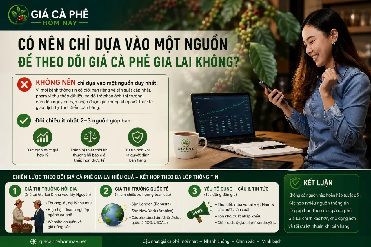 Có Nên Chỉ Dựa Vào Một Nguồn Để Theo Dõi Giá Cà Phê Gia Lai Không?