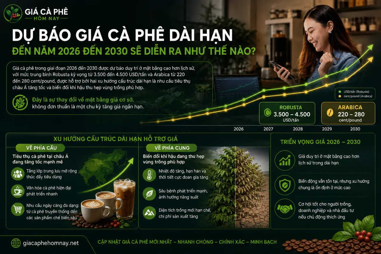 Dự Báo Giá Cà Phê Dài Hạn Đến Năm 2026 đến 2030 Sẽ Diễn Ra Như Thế Nào?