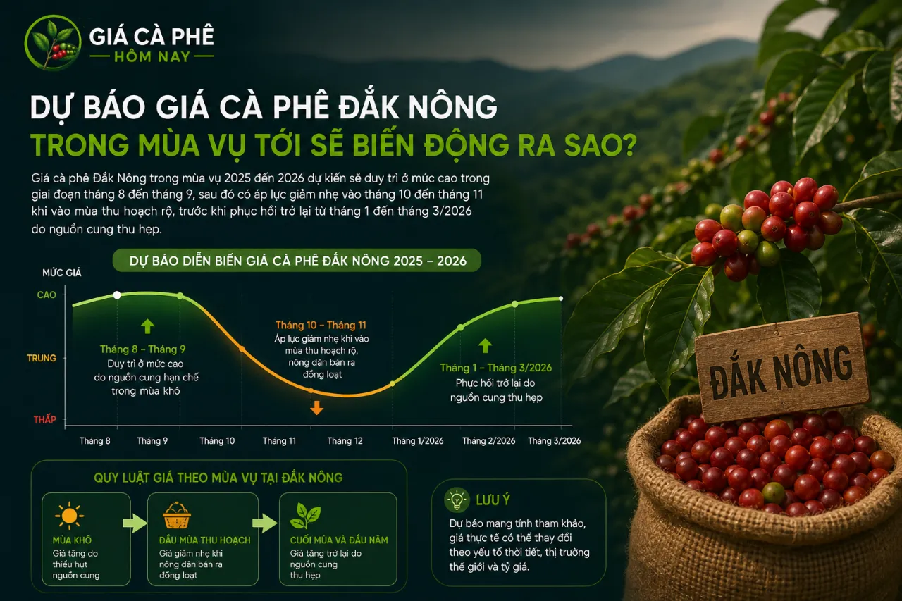 Dự Báo Giá Cà Phê Đắk Nông Trong Mùa Vụ Tới Sẽ Biến Động Ra Sao?