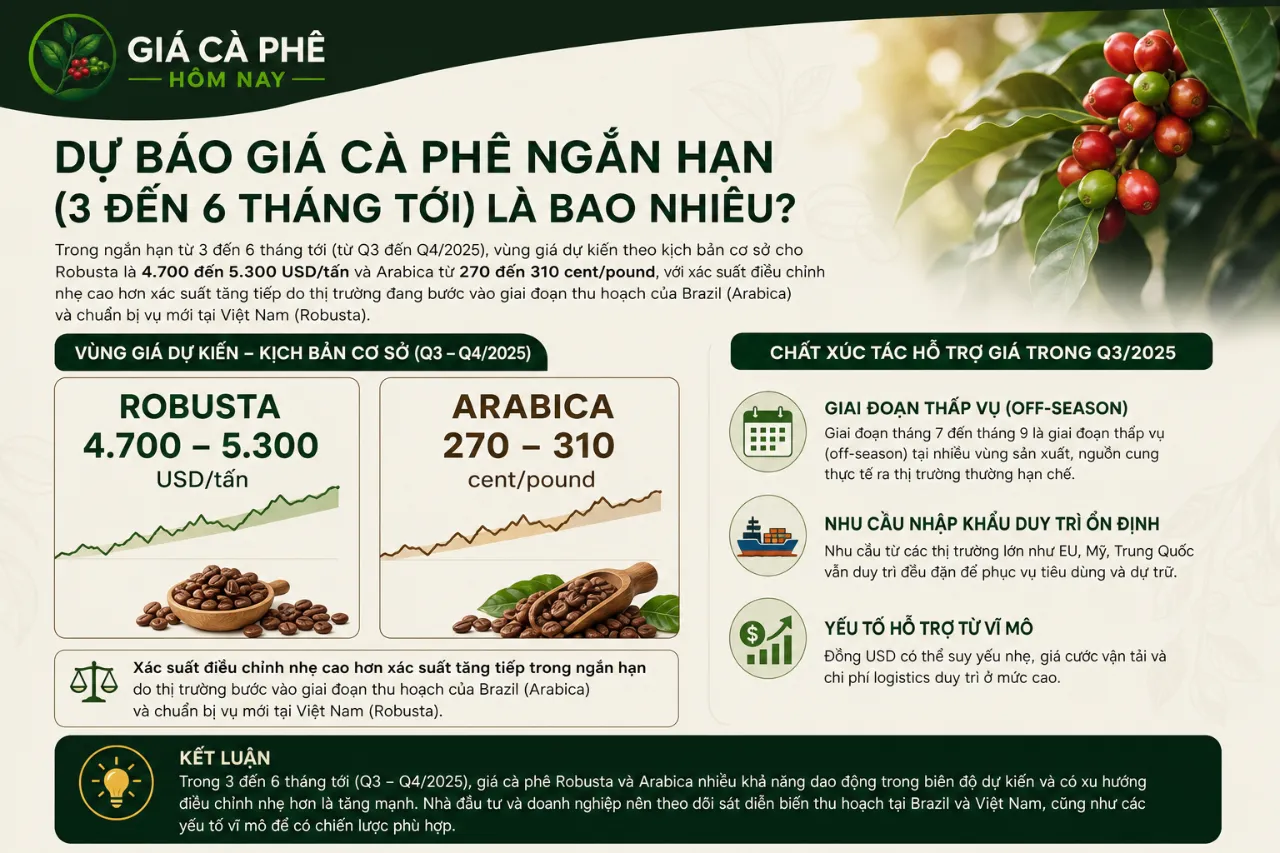 Dự Báo Giá Cà Phê Ngắn Hạn (3 đến 6 Tháng Tới) Là Bao Nhiêu?