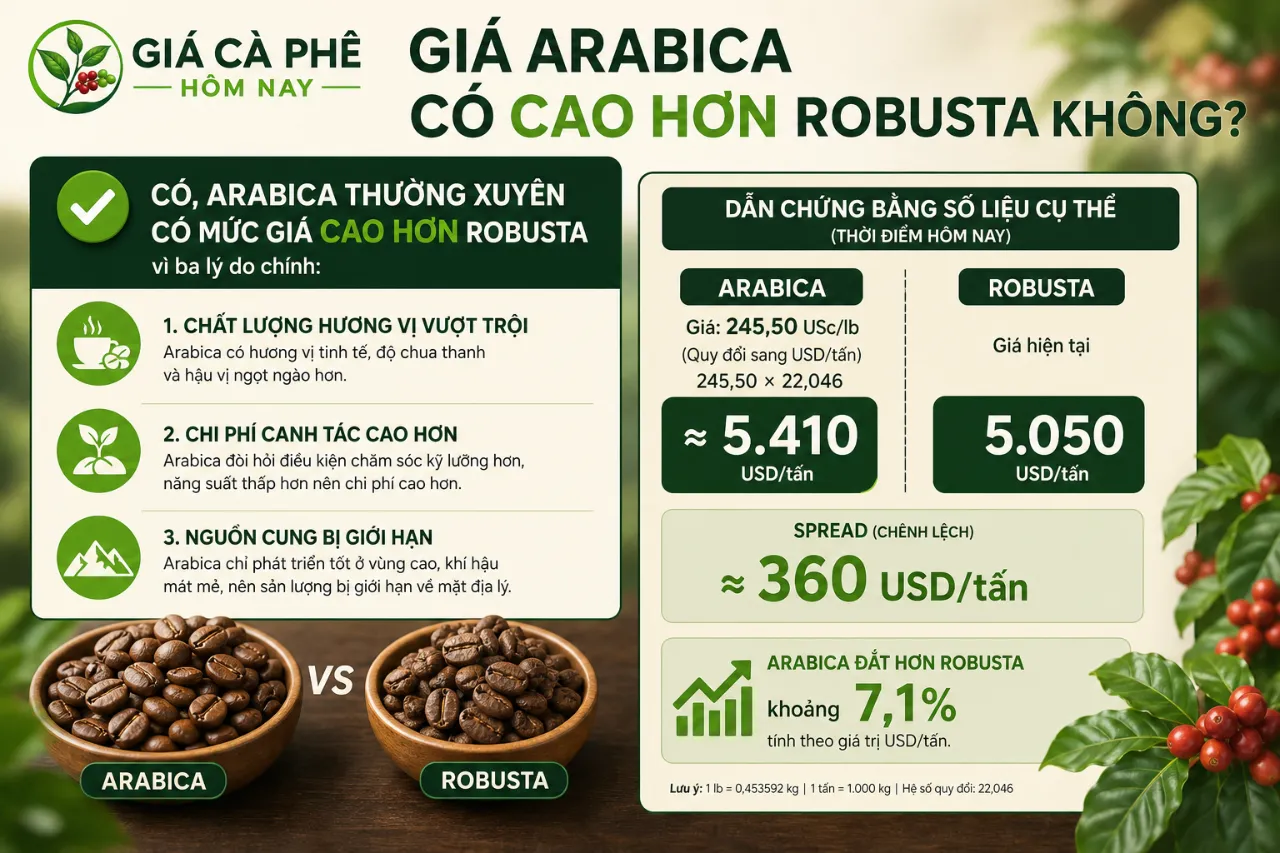 Giá Arabica Có Cao Hơn Robusta Không?