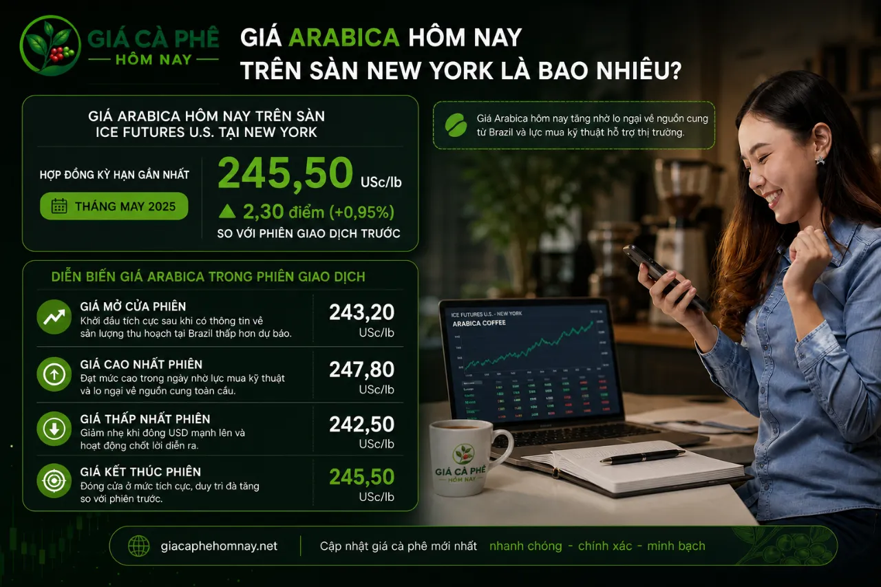 Giá Arabica Hôm Nay Trên Sàn New York Là Bao Nhiêu?