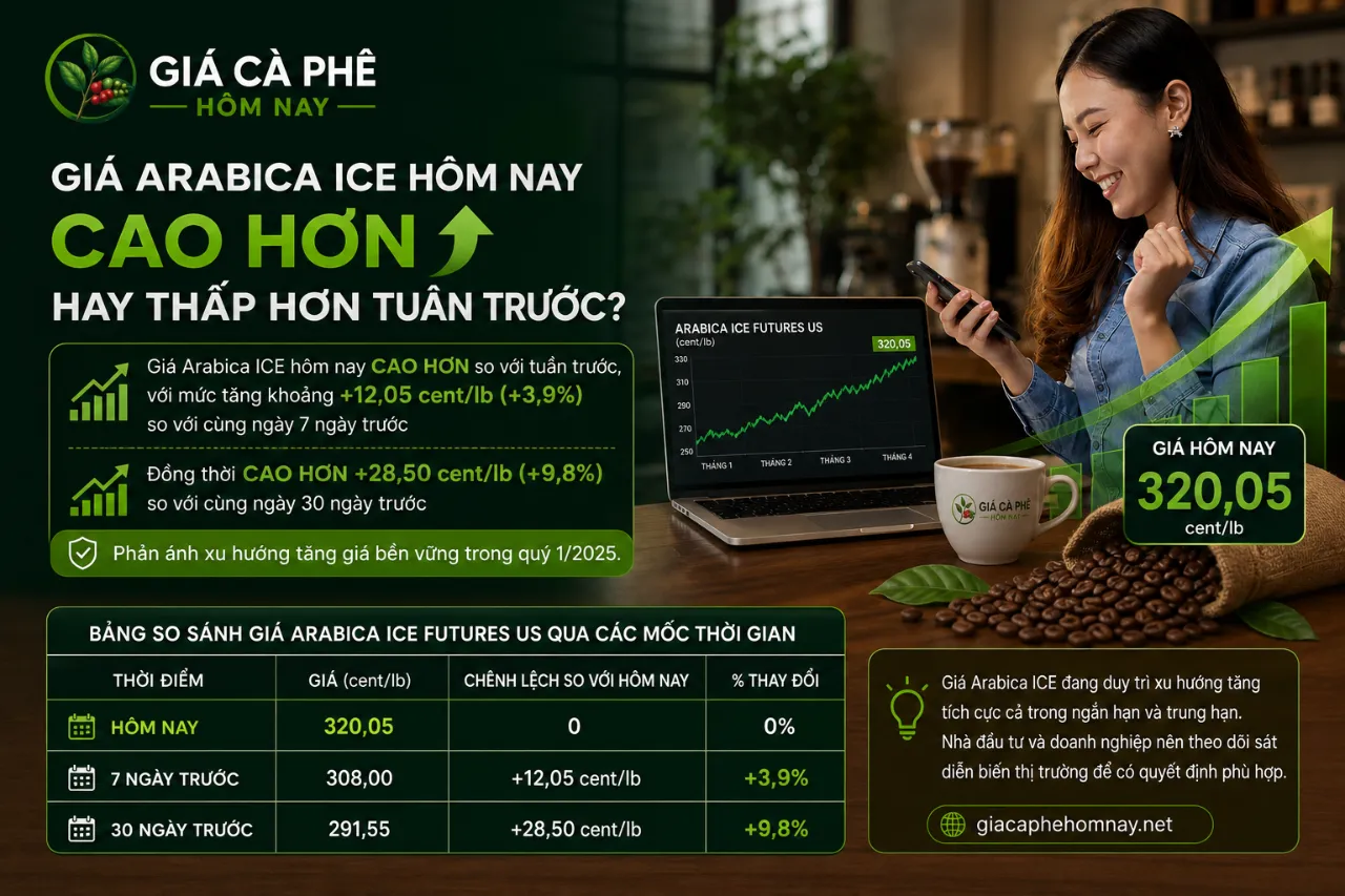 Giá Arabica ICE Hôm Nay Cao Hơn Hay Thấp Hơn Tuần Trước?