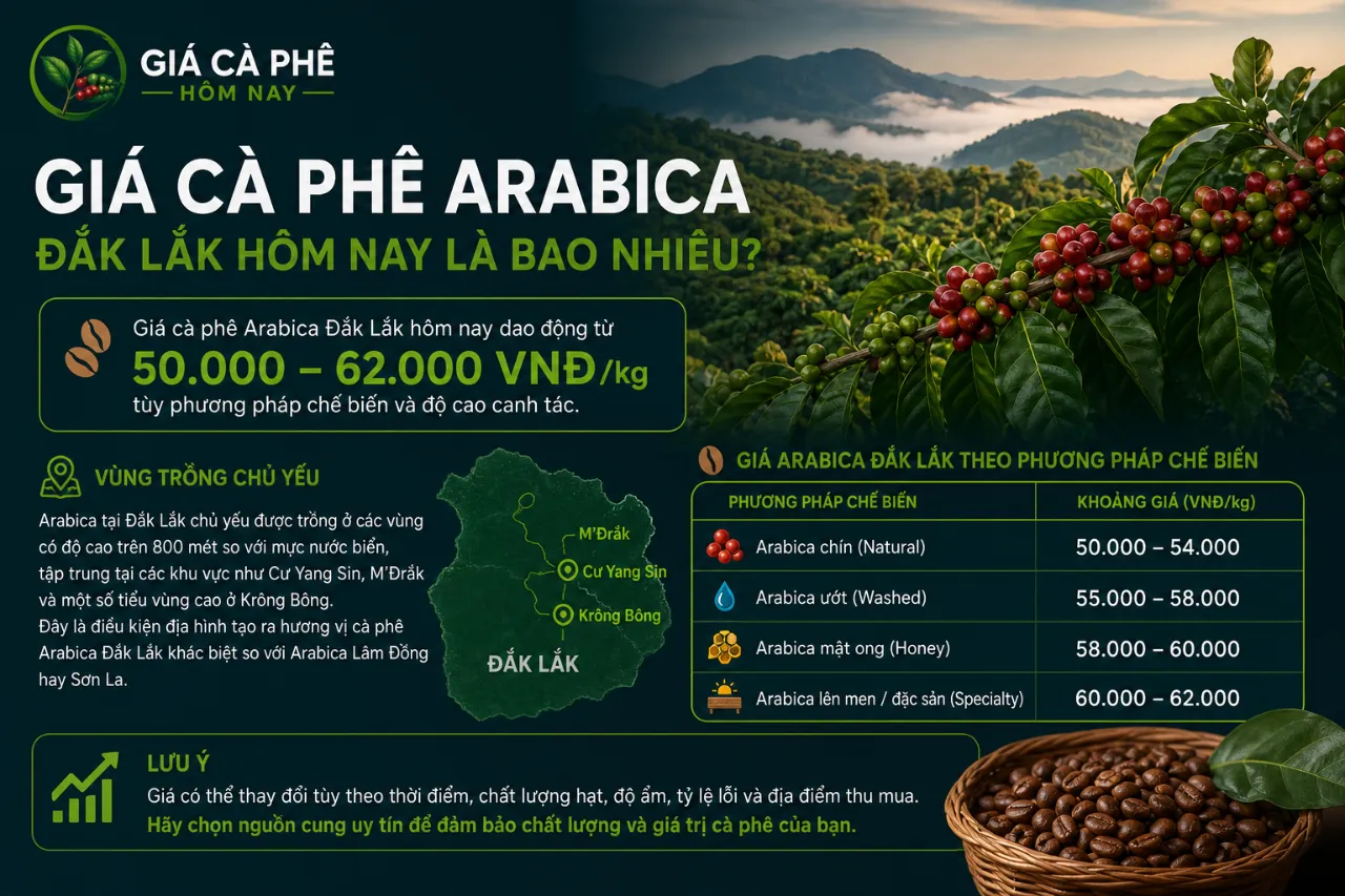 Giá Cà Phê Arabica Đắk Lắk Hôm Nay Là Bao Nhiêu?