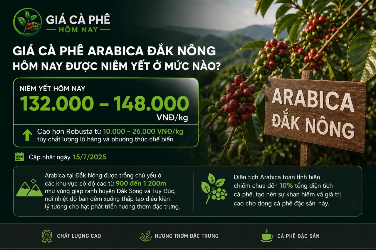 Giá Cà Phê Arabica Đắk Nông Hôm Nay Được Niêm Yết Ở Mức Nào?