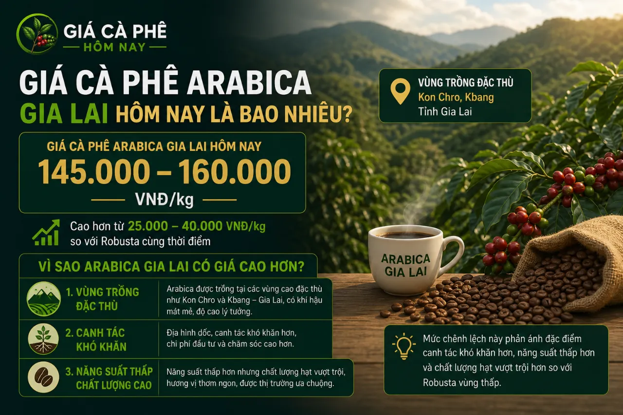 Giá Cà Phê Arabica Gia Lai Hôm Nay Là Bao Nhiêu?
