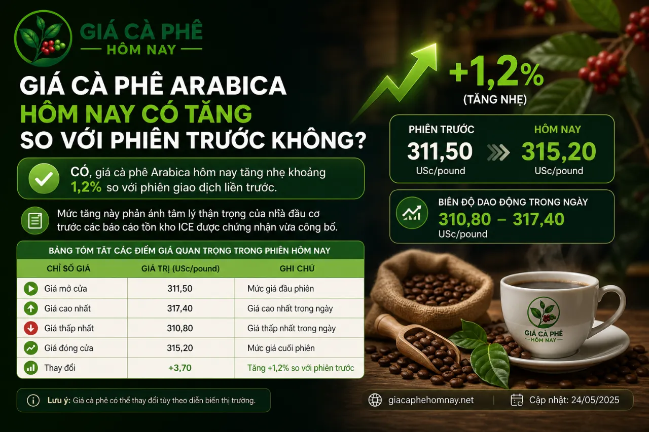 Giá Cà Phê Arabica Hôm Nay Có Tăng So Với Phiên Trước Không?