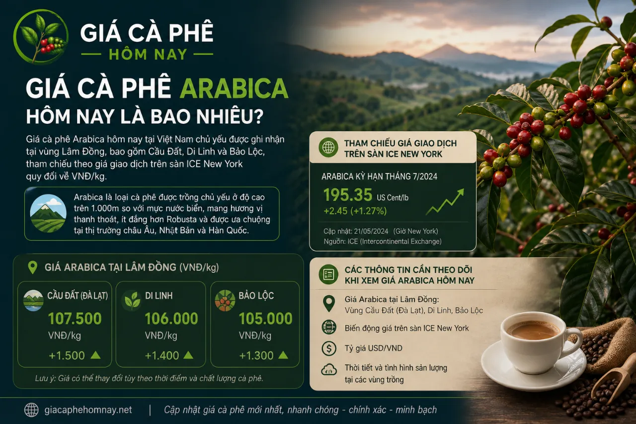 Giá Cà Phê Arabica Hôm Nay Là Bao Nhiêu?