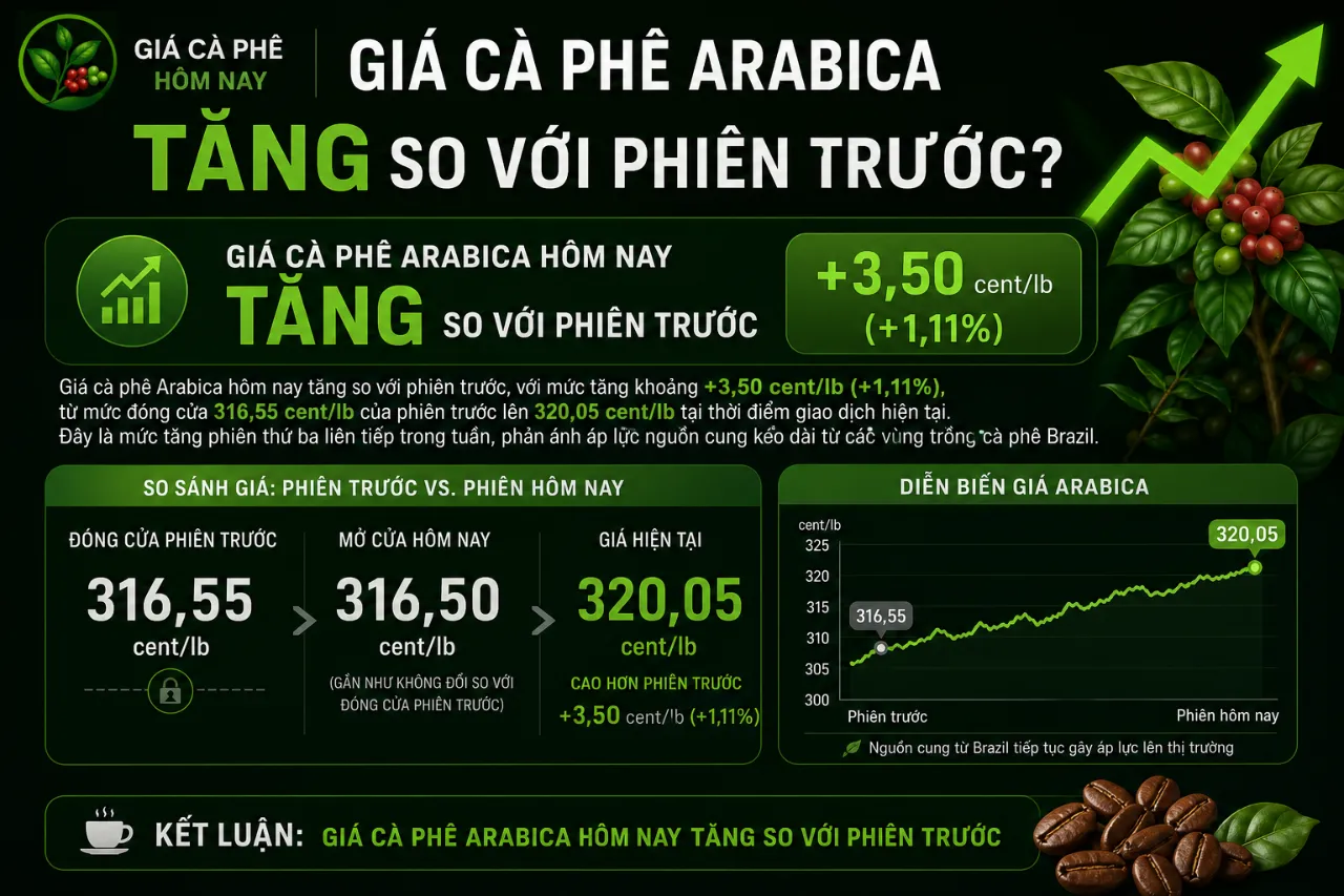Giá Cà Phê Arabica Hôm Nay Tăng Hay Giảm So Với Phiên Trước?