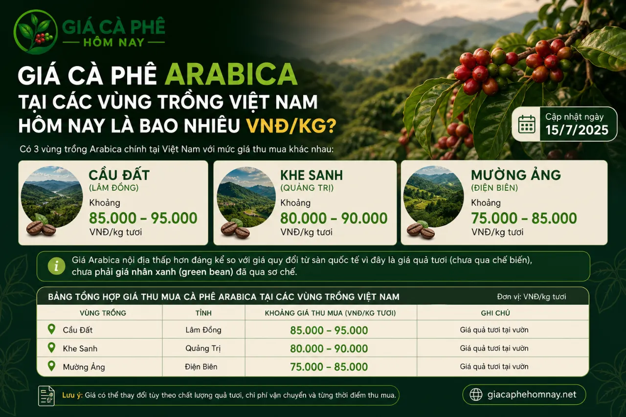 Giá Cà Phê Arabica Tại Các Vùng Trồng Việt Nam Hôm Nay Là Bao Nhiêu VNĐ/Kg?