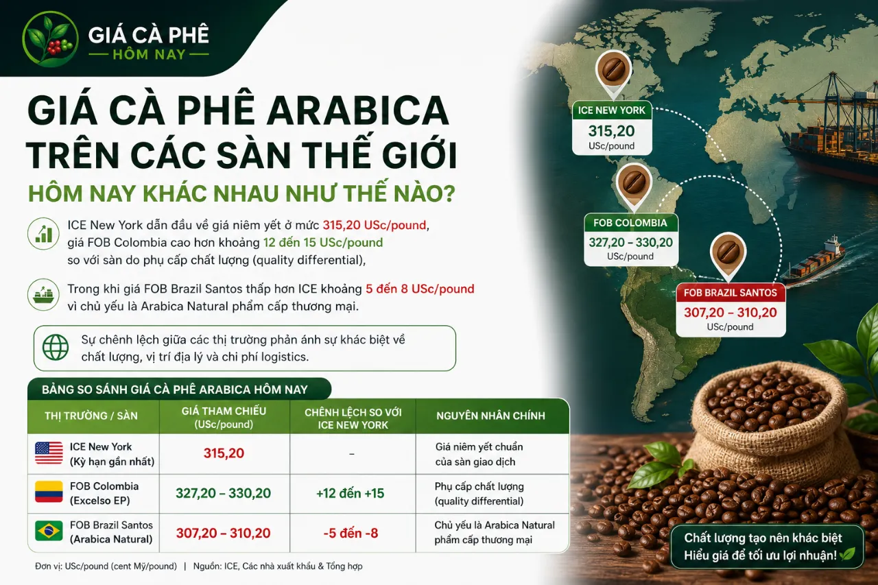 Giá Cà Phê Arabica Trên Các Sàn Thế Giới Hôm Nay Khác Nhau Như Thế Nào?
