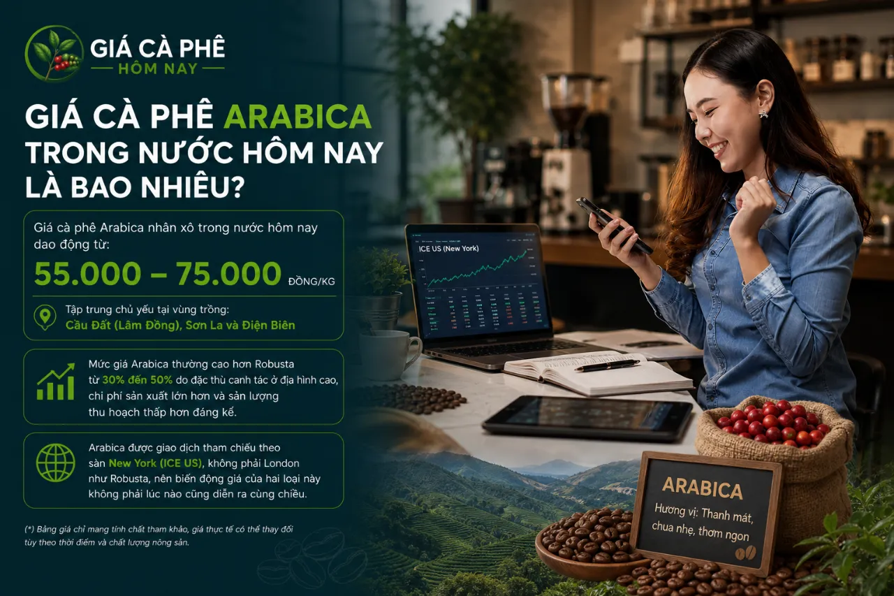 Giá Cà Phê Arabica Trong Nước Hôm Nay Là Bao Nhiêu?