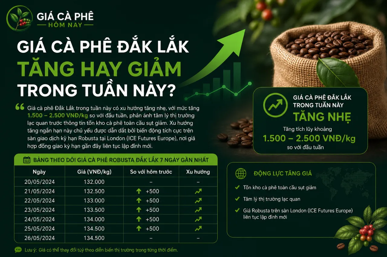 Giá Cà Phê Đắk Lắk Tăng Hay Giảm Trong Tuần Này?
