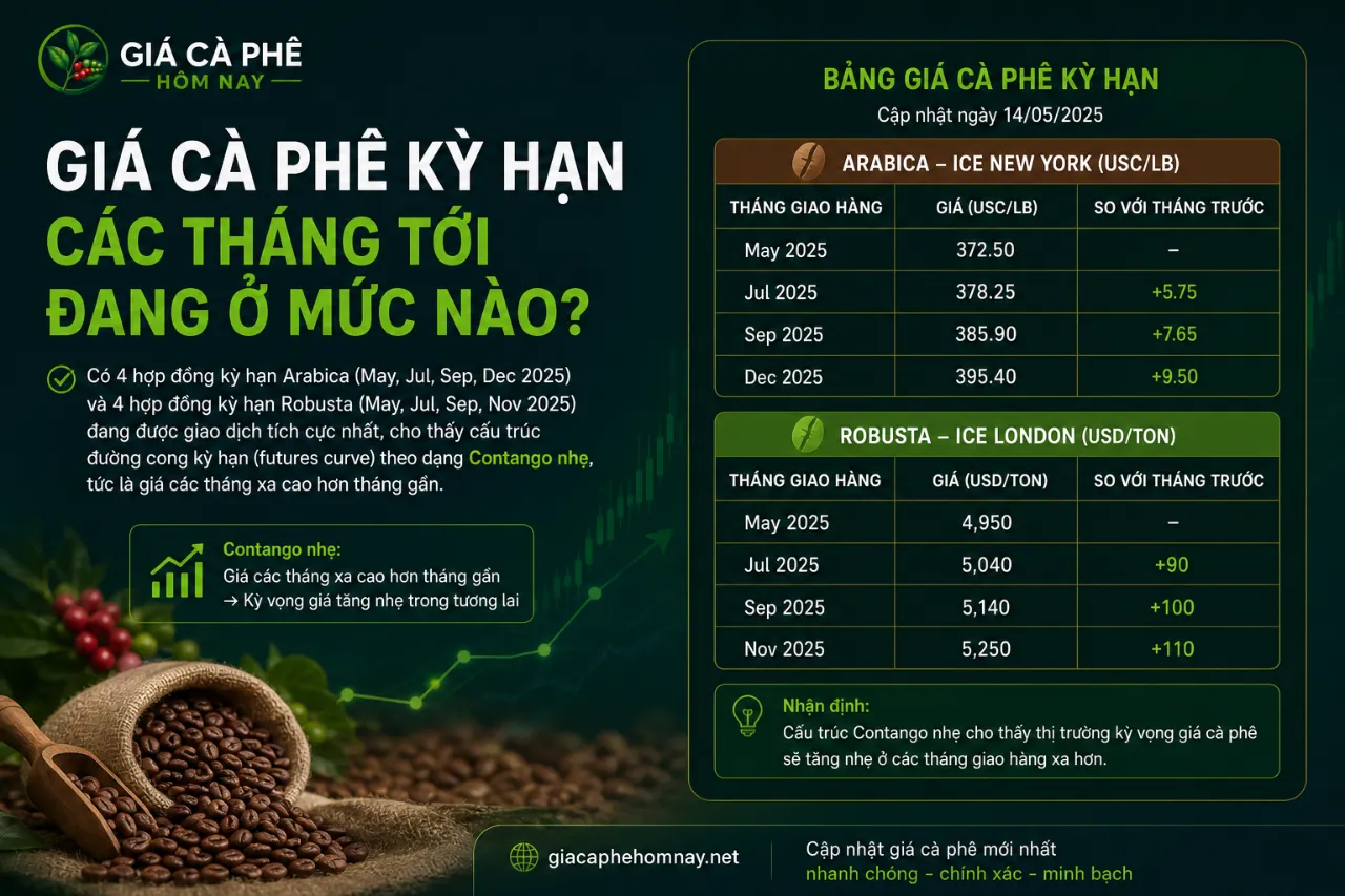 Giá Cà Phê Kỳ Hạn Các Tháng Tới Đang Ở Mức Nào?