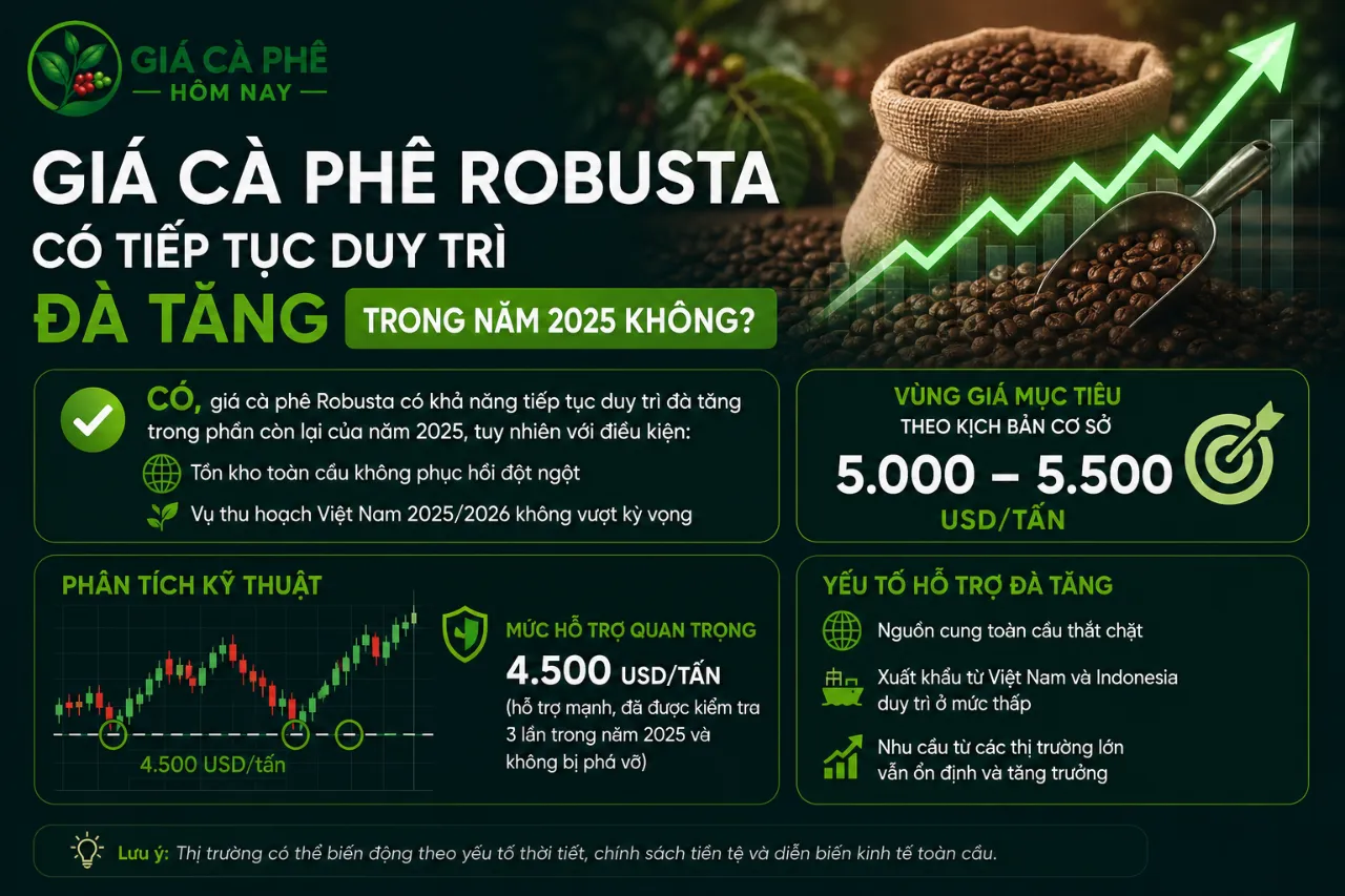 Giá Cà Phê Robusta Có Tiếp Tục Duy Trì Đà Tăng Trong Năm 2025 Không?