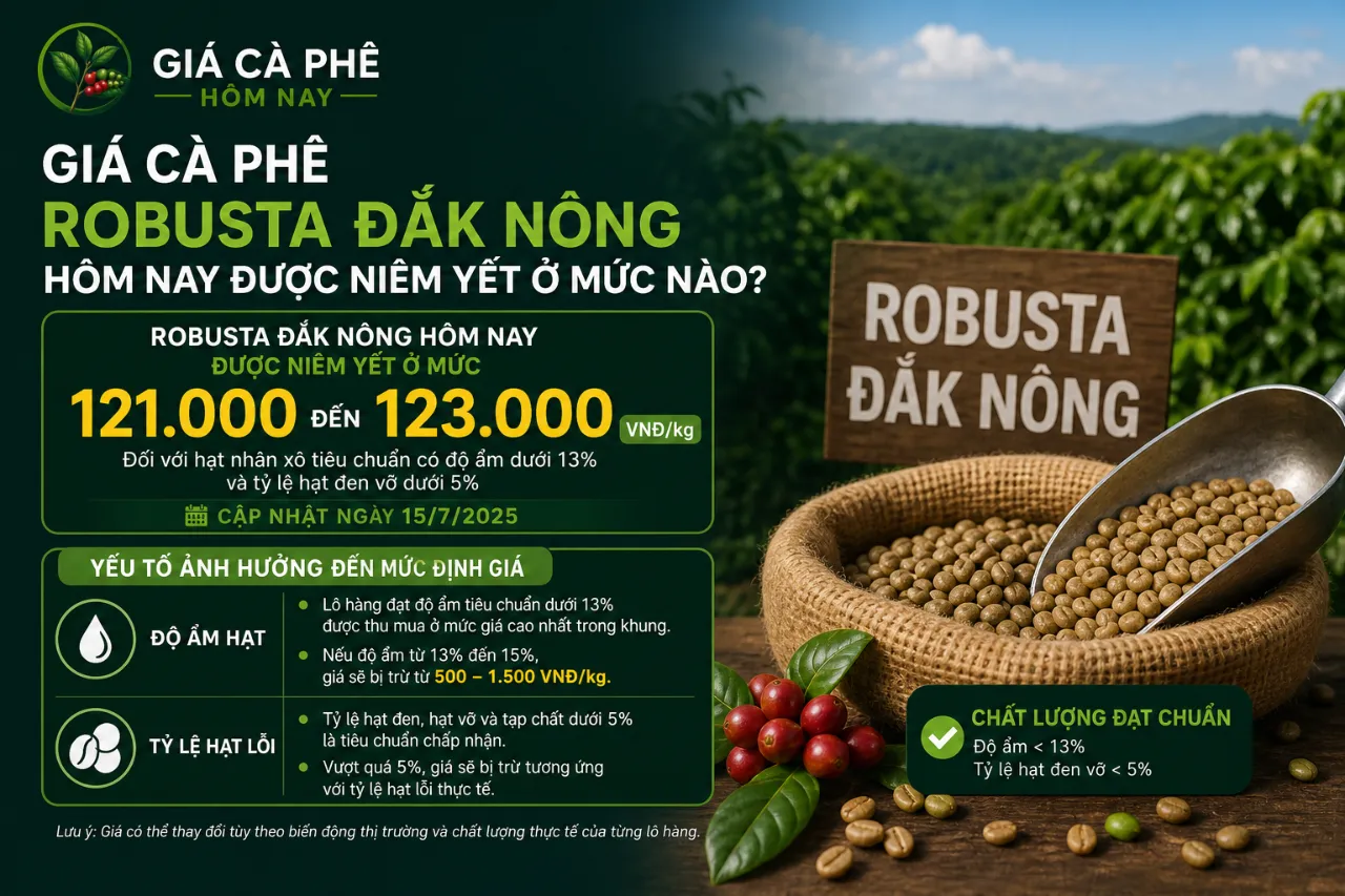Giá Cà Phê Robusta Đắk Nông Hôm Nay Được Niêm Yết Ở Mức Nào?