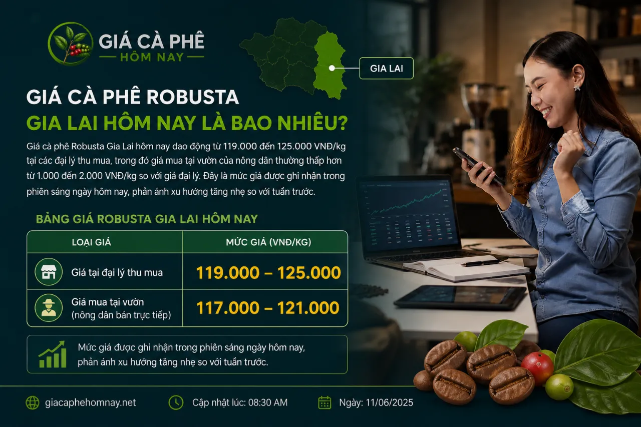 Giá Cà Phê Robusta Gia Lai Hôm Nay Là Bao Nhiêu?