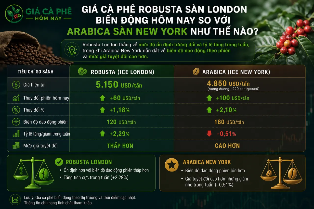 Giá Cà Phê Robusta Sàn London Biến Động Hôm Nay So Với Arabica Sàn New York Như Thế Nào?