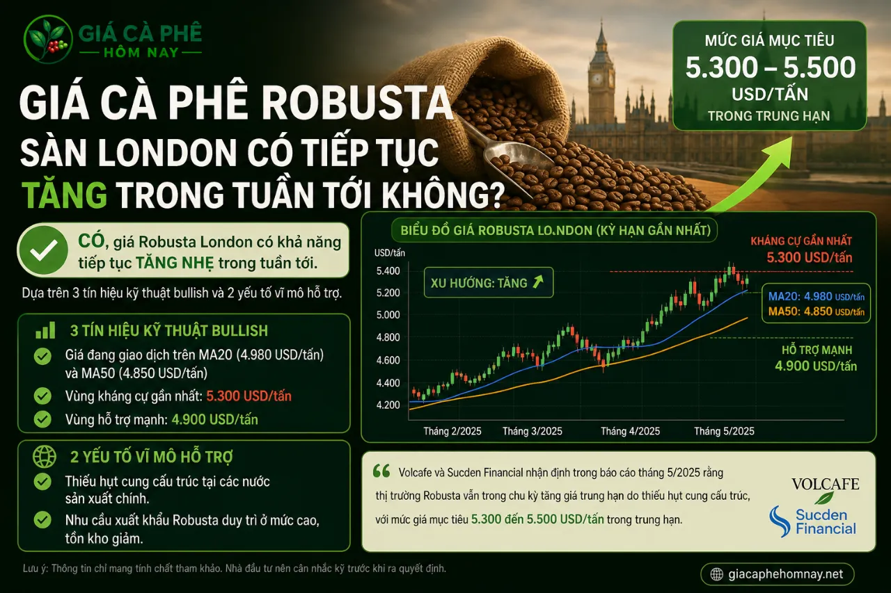 Giá Cà Phê Robusta Sàn London Có Tiếp Tục Tăng Trong Tuần Tới Không?