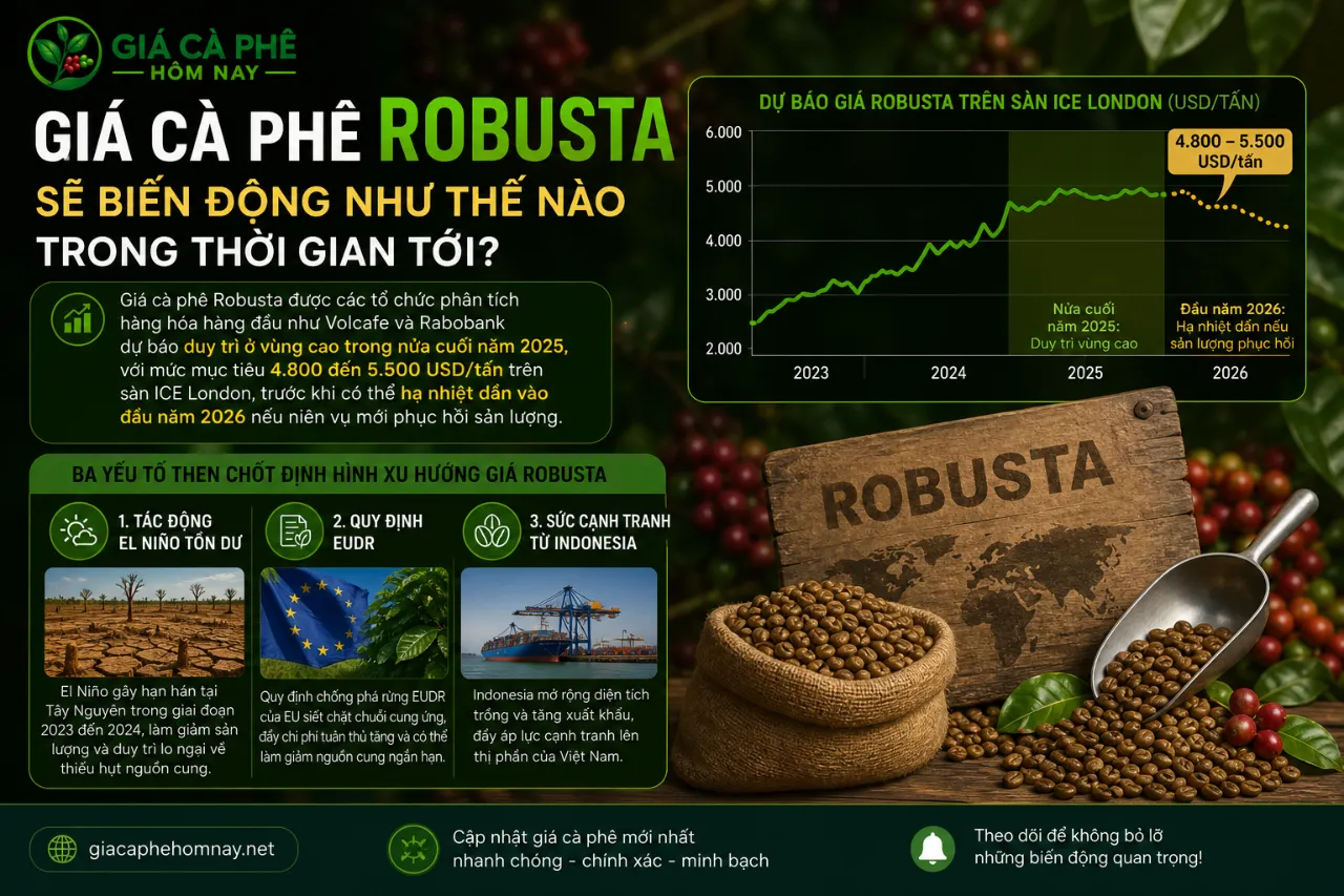 Giá Cà Phê Robusta Sẽ Biến Động Như Thế Nào Trong Thời Gian Tới?