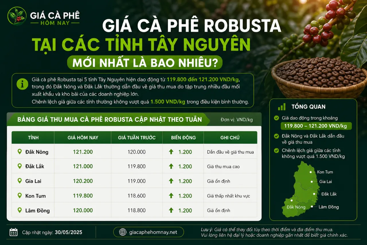 Giá Cà Phê Robusta Tại Các Tỉnh Tây Nguyên Mới Nhất Là Bao Nhiêu?