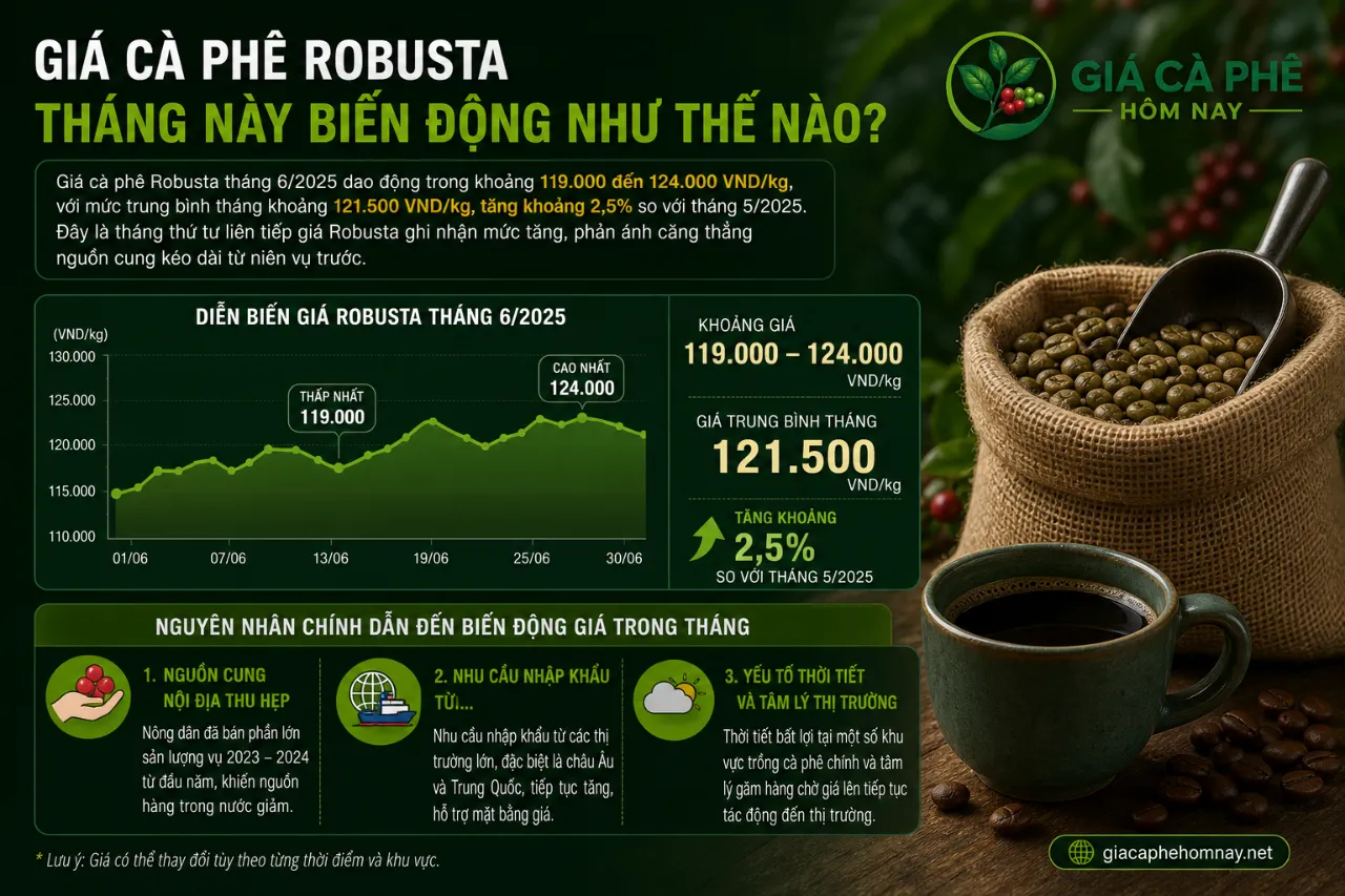 Giá Cà Phê Robusta Tháng Này Biến Động Như Thế Nào?