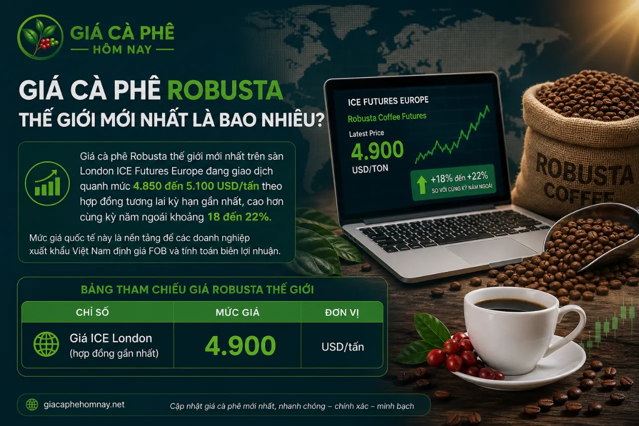Giá Cà Phê Robusta Thế Giới Mới Nhất Là Bao Nhiêu?