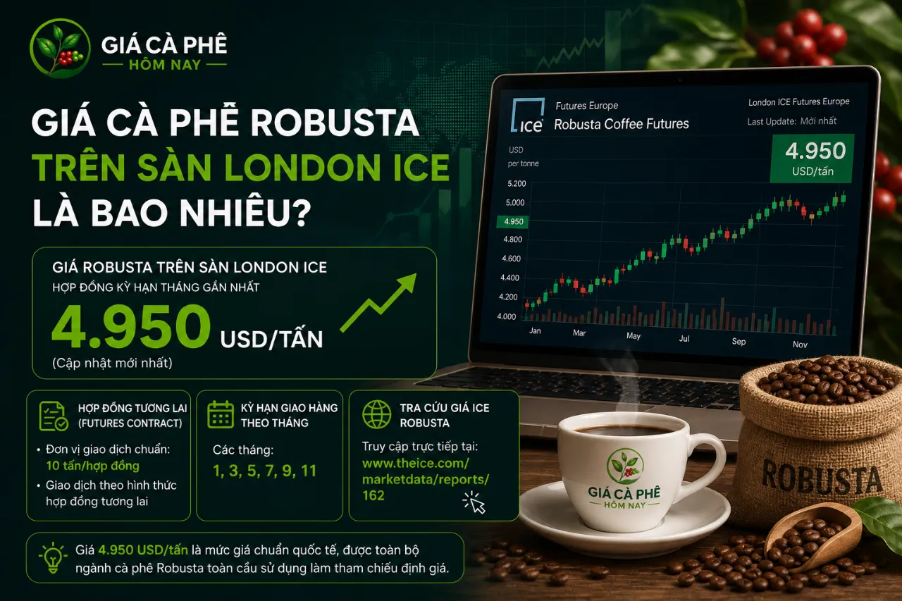 Giá Cà Phê Robusta Trên Sàn London ICE Là Bao Nhiêu?