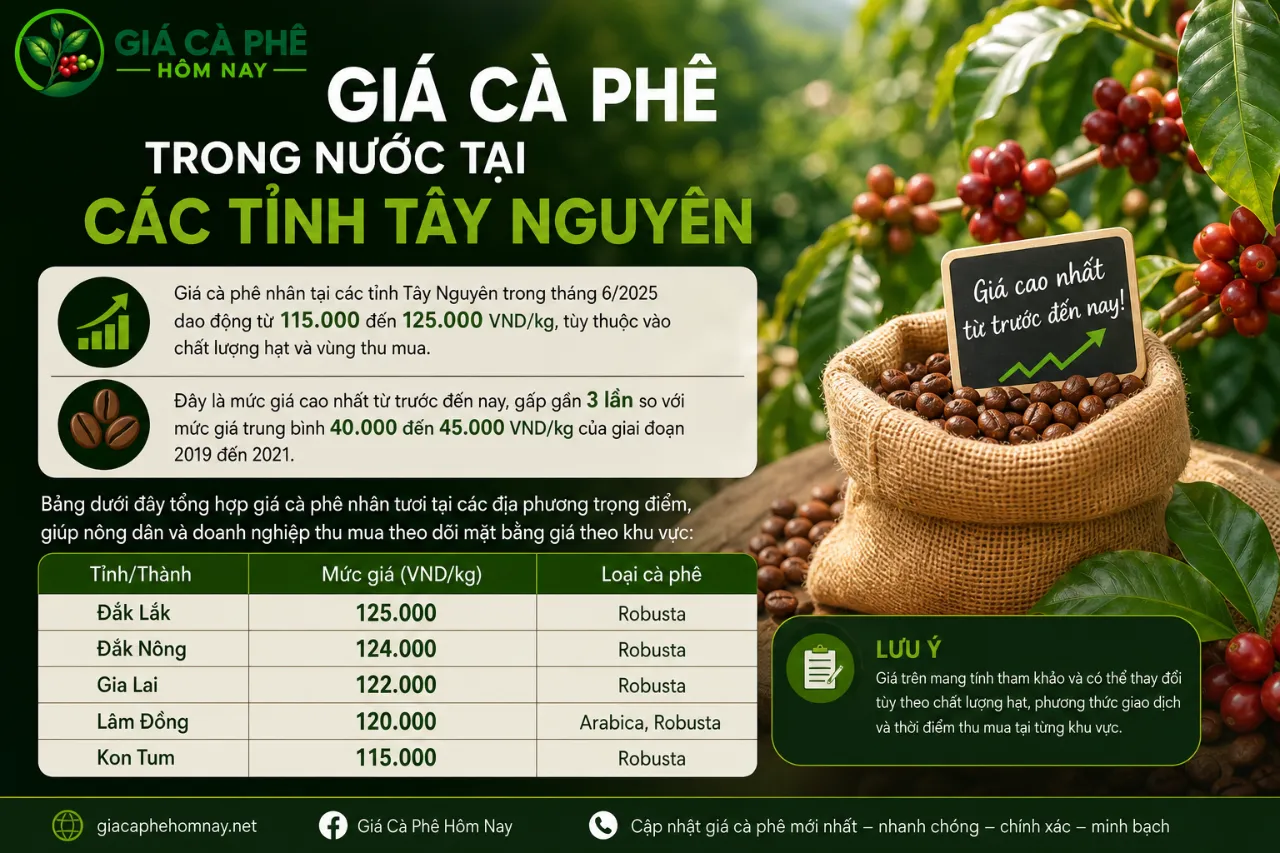 Giá Cà Phê Trong Nước Tại Các Tỉnh Tây Nguyên