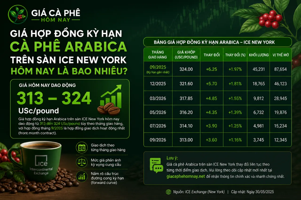Giá Hợp Đồng Kỳ Hạn Cà Phê Arabica Trên Sàn ICE New York Hôm Nay Là Bao Nhiêu?