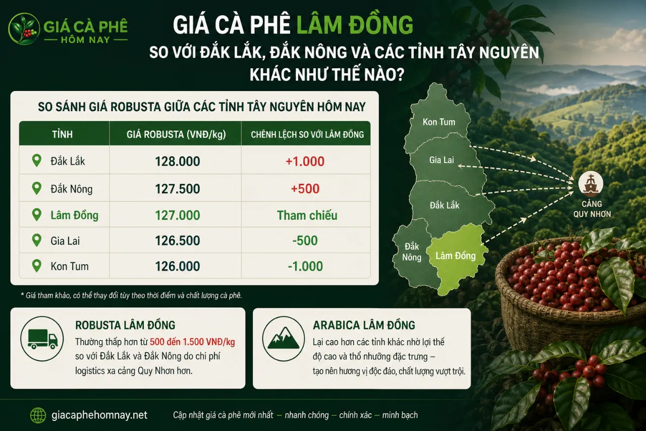 Giá cà phê Lâm Đồng so với Đắk Lắk, Đắk Nông và các tỉnh Tây Nguyên khác như thế nào?