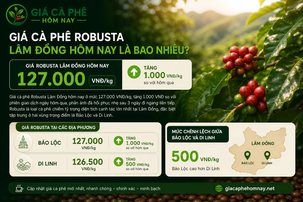Giá cà phê Robusta Lâm Đồng hôm nay là bao nhiêu?