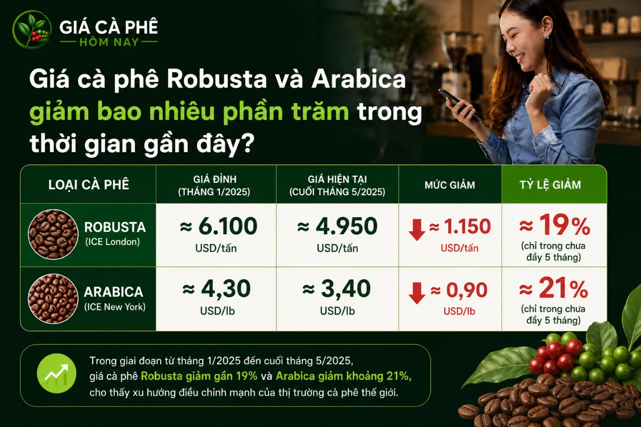 Giá cà phê Robusta và Arabica giảm bao nhiêu phần trăm trong thời gian gần đây?
