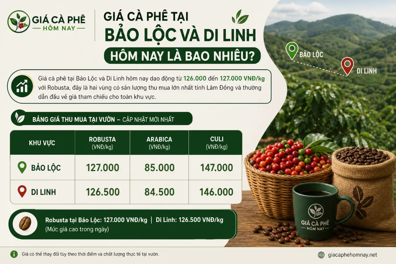 Giá cà phê tại Bảo Lộc và Di Linh hôm nay là bao nhiêu?