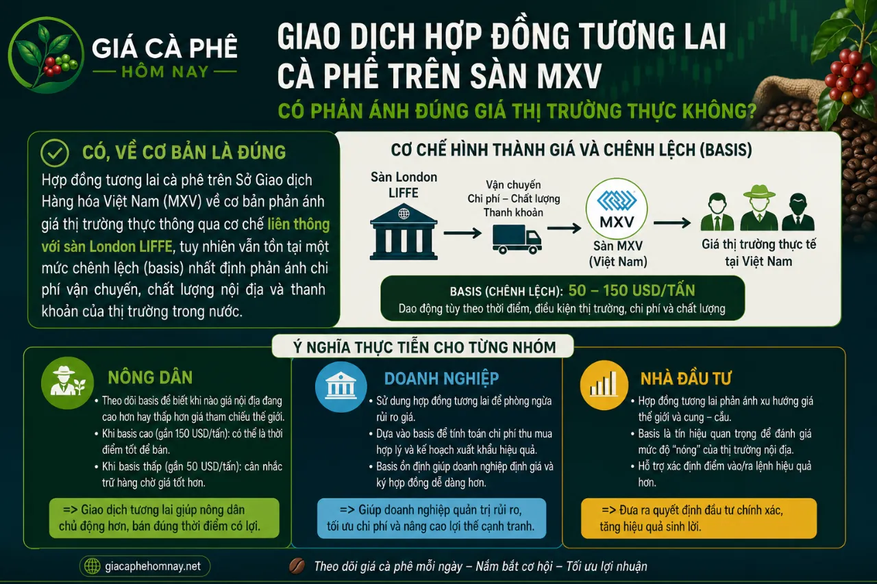 Giao Dịch Hợp Đồng Tương Lai Cà Phê Trên Sàn MXV Có Phản Ánh Đúng Giá Thị Trường Thực Không?