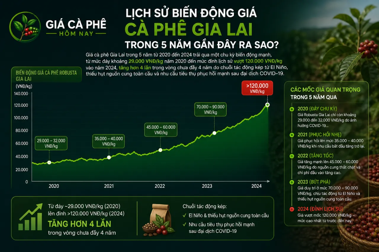 Lịch Sử Biến Động Giá Cà Phê Gia Lai Trong 5 Năm Gần Đây Ra Sao?