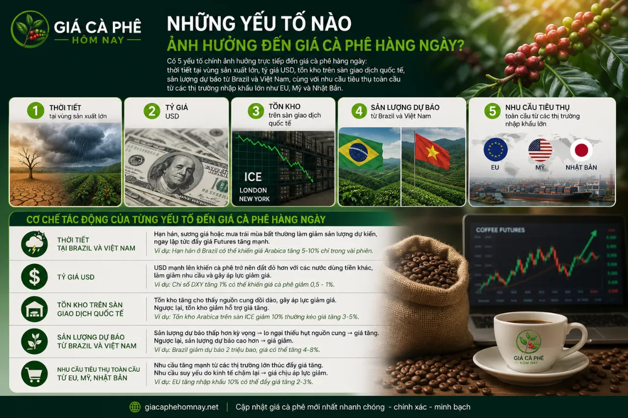 Những Yếu Tố Nào Ảnh Hưởng Đến Giá Cà Phê Hàng Ngày?