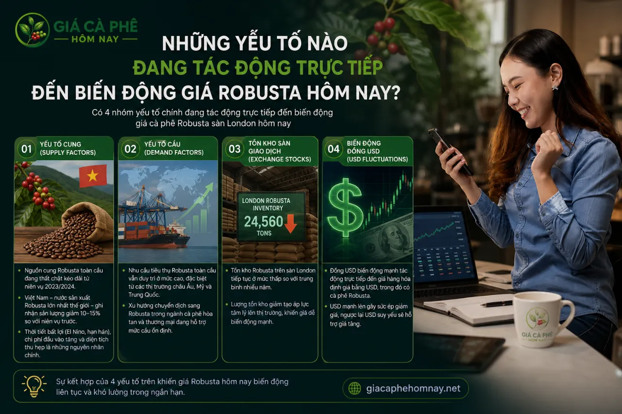 Những Yếu Tố Nào Đang Tác Động Trực Tiếp Đến Biến Động Giá Robusta Hôm Nay?