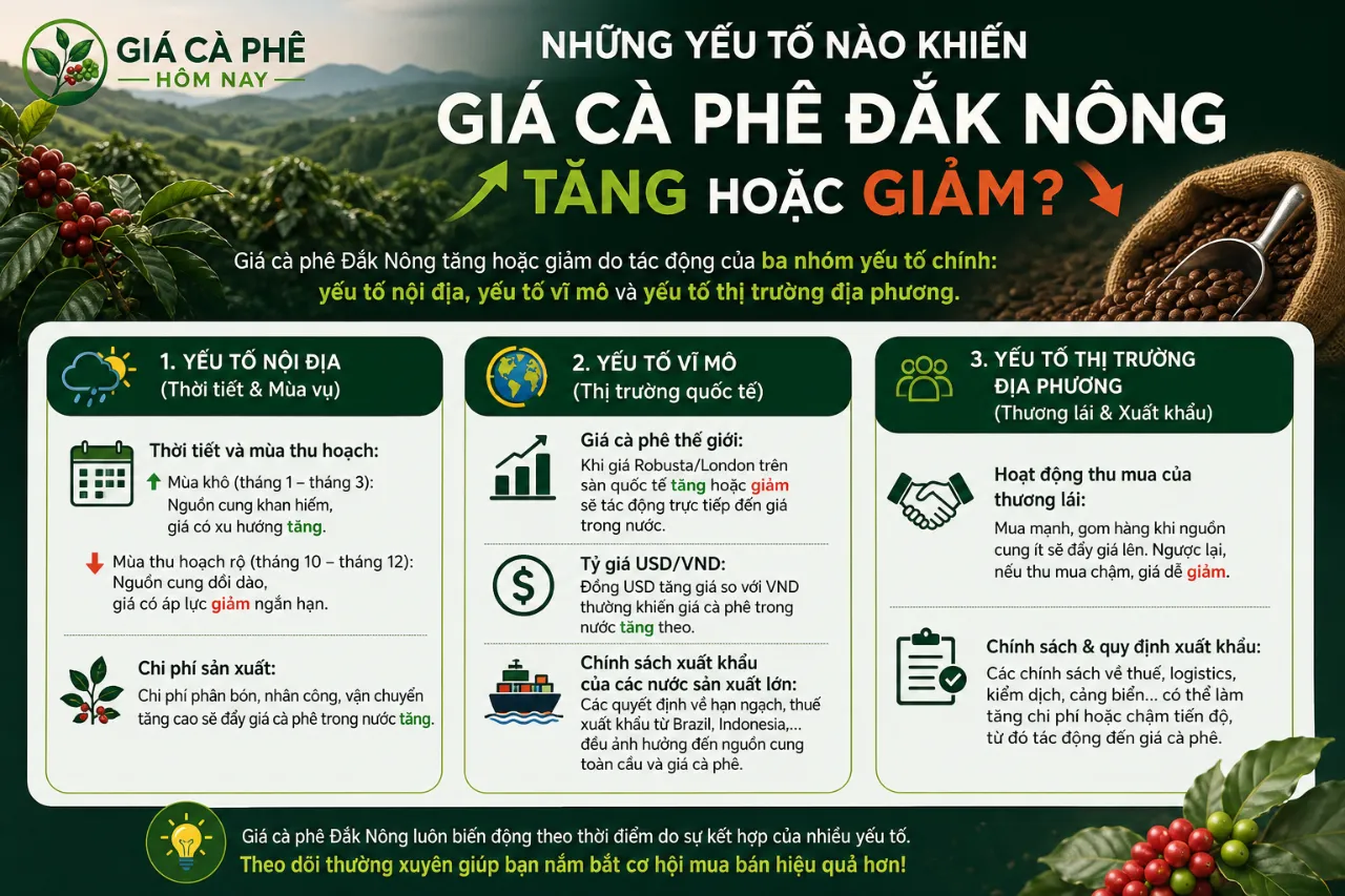 Những Yếu Tố Nào Khiến Giá Cà Phê Đắk Nông Tăng Hoặc Giảm?