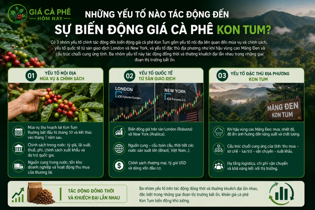 Những yếu tố nào tác động đến sự biến động giá cà phê Kon Tum?