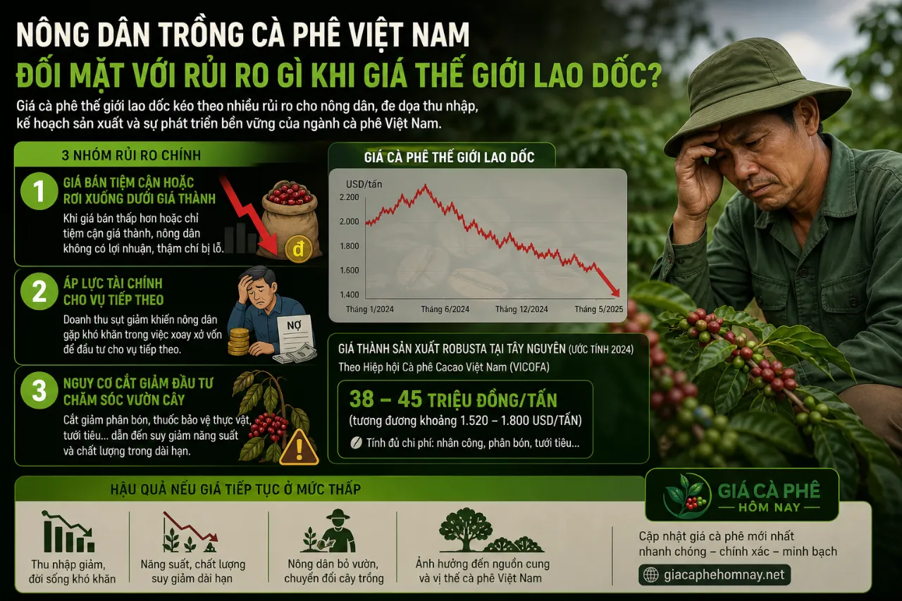 Nông dân trồng cà phê Việt Nam đối mặt với rủi ro gì khi giá thế giới lao dốc?