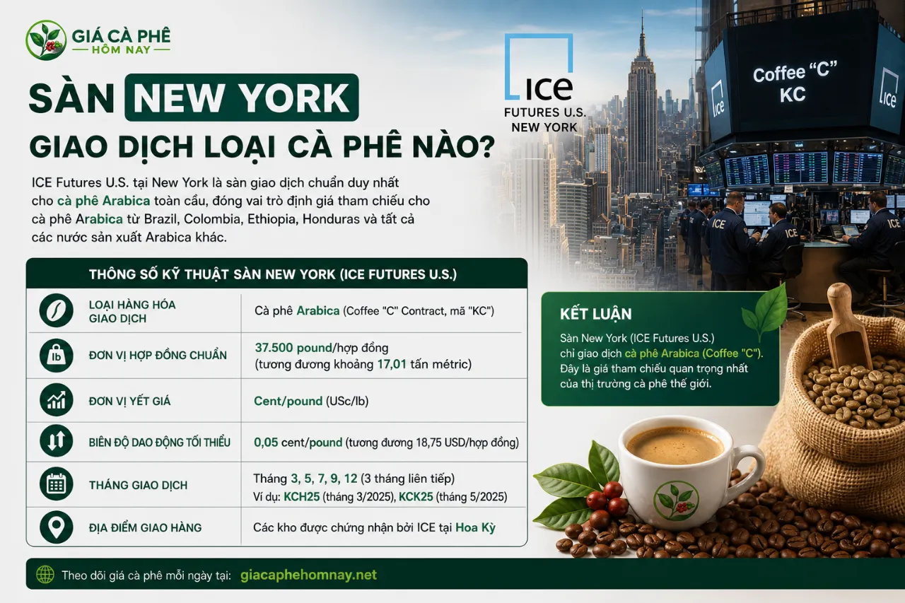 Sàn New York Giao Dịch Loại Cà Phê Nào?