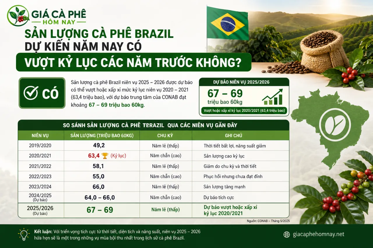 Sản lượng cà phê Brazil dự kiến năm nay có vượt kỷ lục các năm trước không?